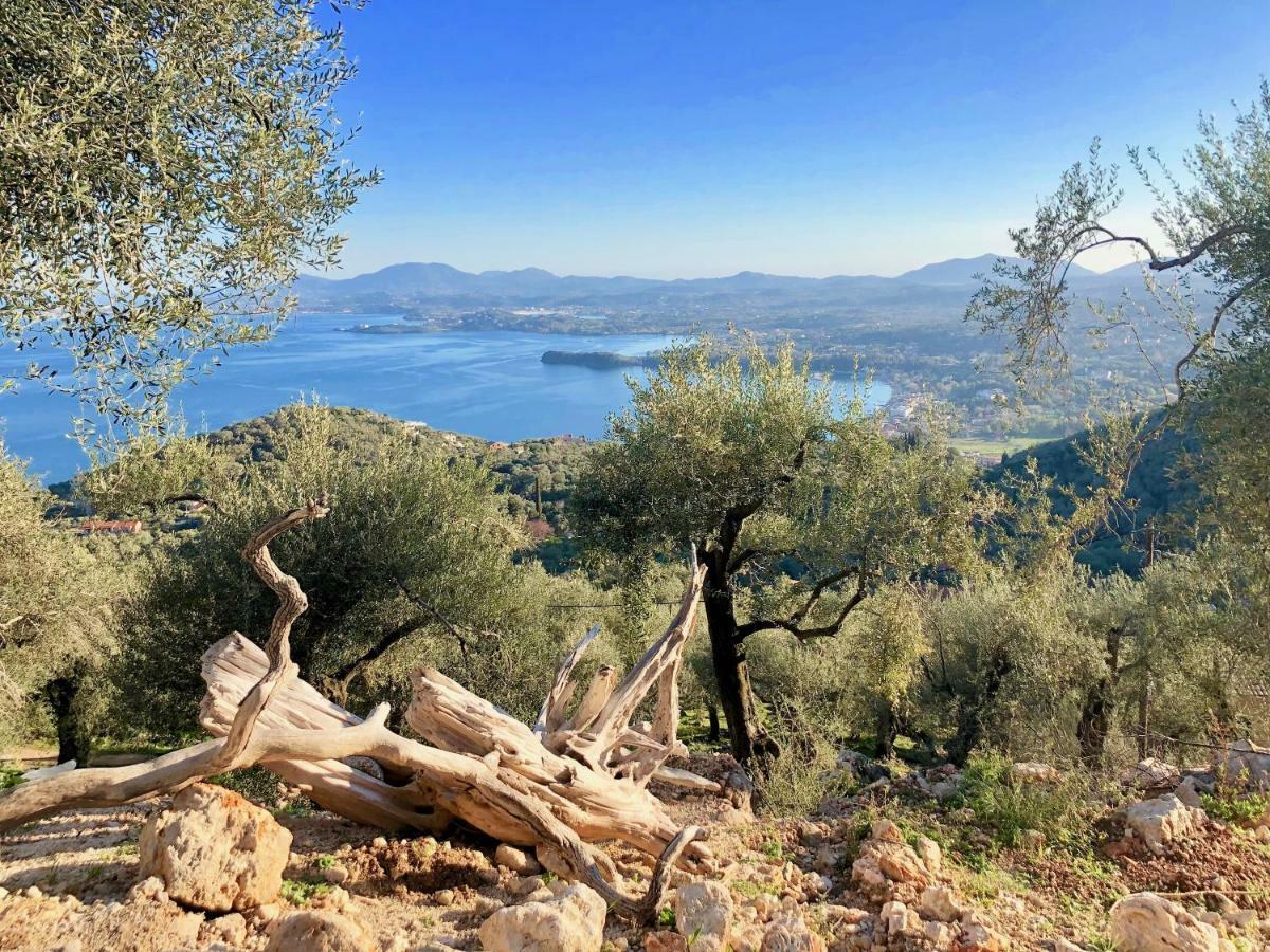 House Teigan Of Villa Intaba Breath Taking Sea Views Corfiot Riviera Corfu Island Greece With Pool Close To Ipsos Beach Pyrgi  ภายนอก รูปภาพ